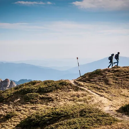 Otel Francois Boutique - Matterhorn Retreat & In Cervinia *